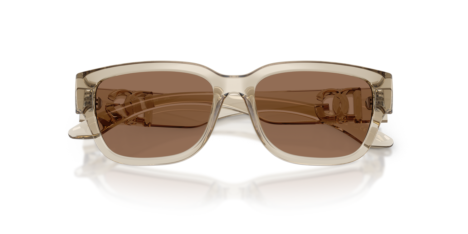 DOLCE &amp; GABBANA DX6009 329173 50