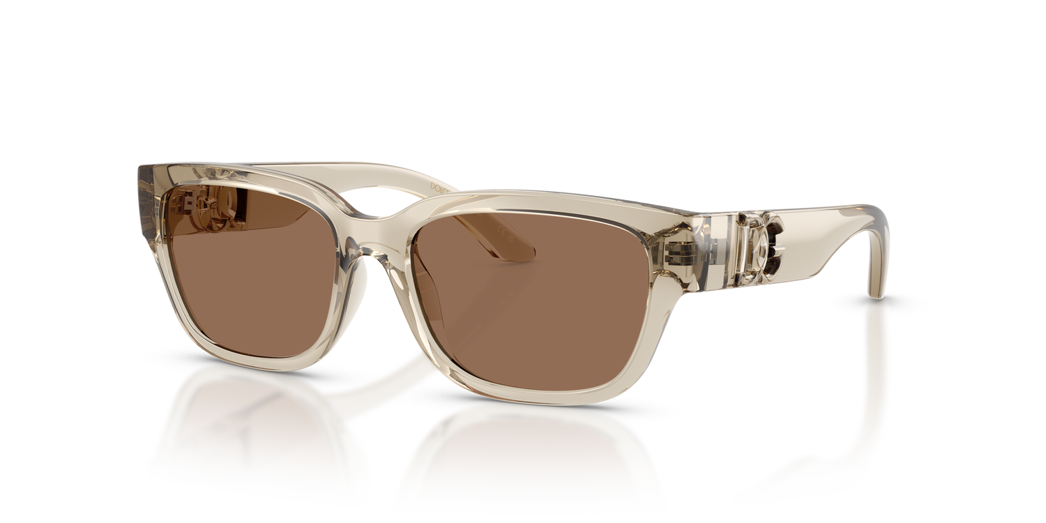 DOLCE &amp; GABBANA DX6009 329173 50
