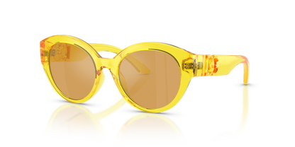 DOLCE &amp; GABBANA DX6010 333474 47