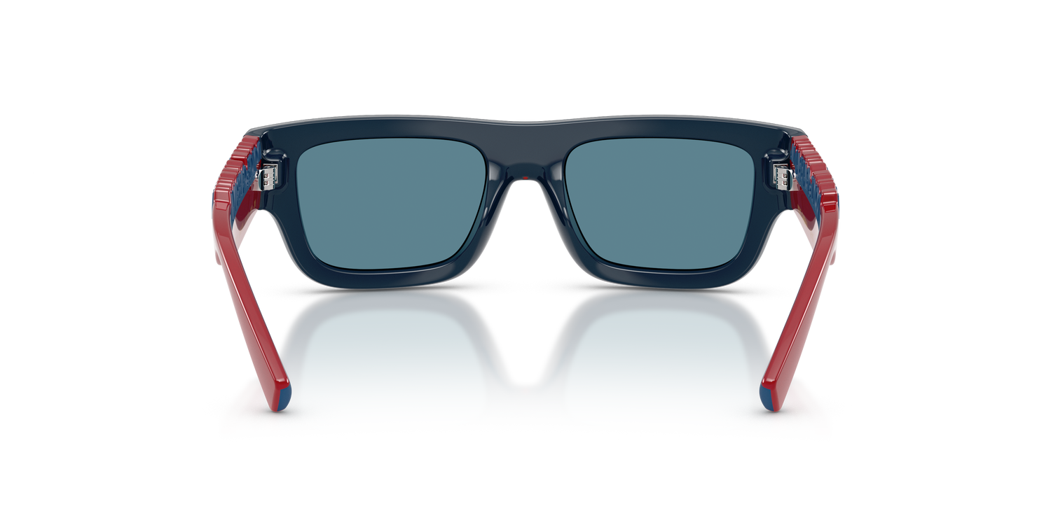 DOLCE &amp; GABBANA DX6011 346680 47