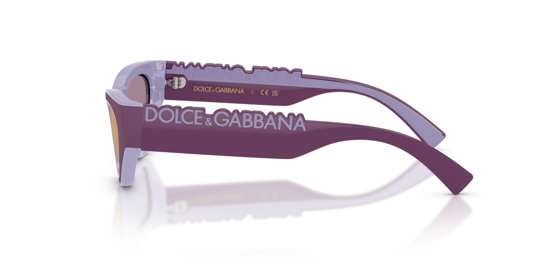 DOLCE &amp; GABBANA DX6012 33601T 47