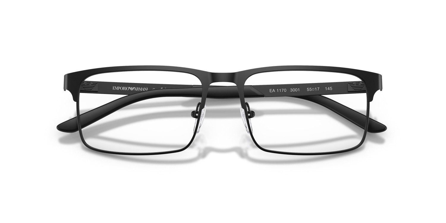 EMPORIO ARMANI EA1170 3001 53