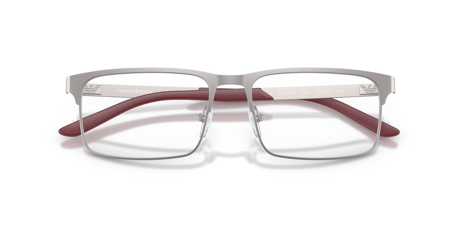 EMPORIO ARMANI EA1170 3003 55