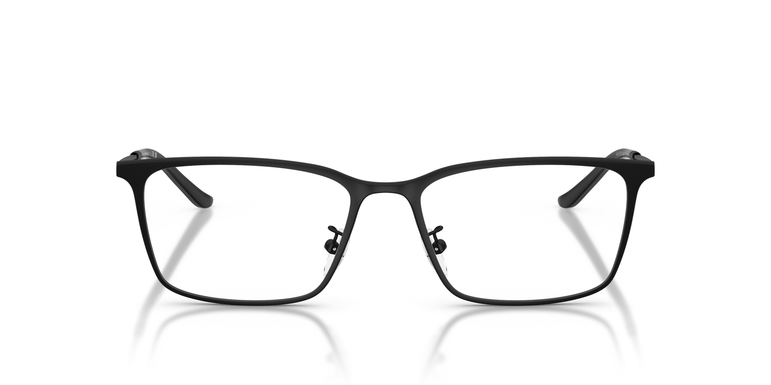 EMPORIO ARMANI EA1173D 3001 55