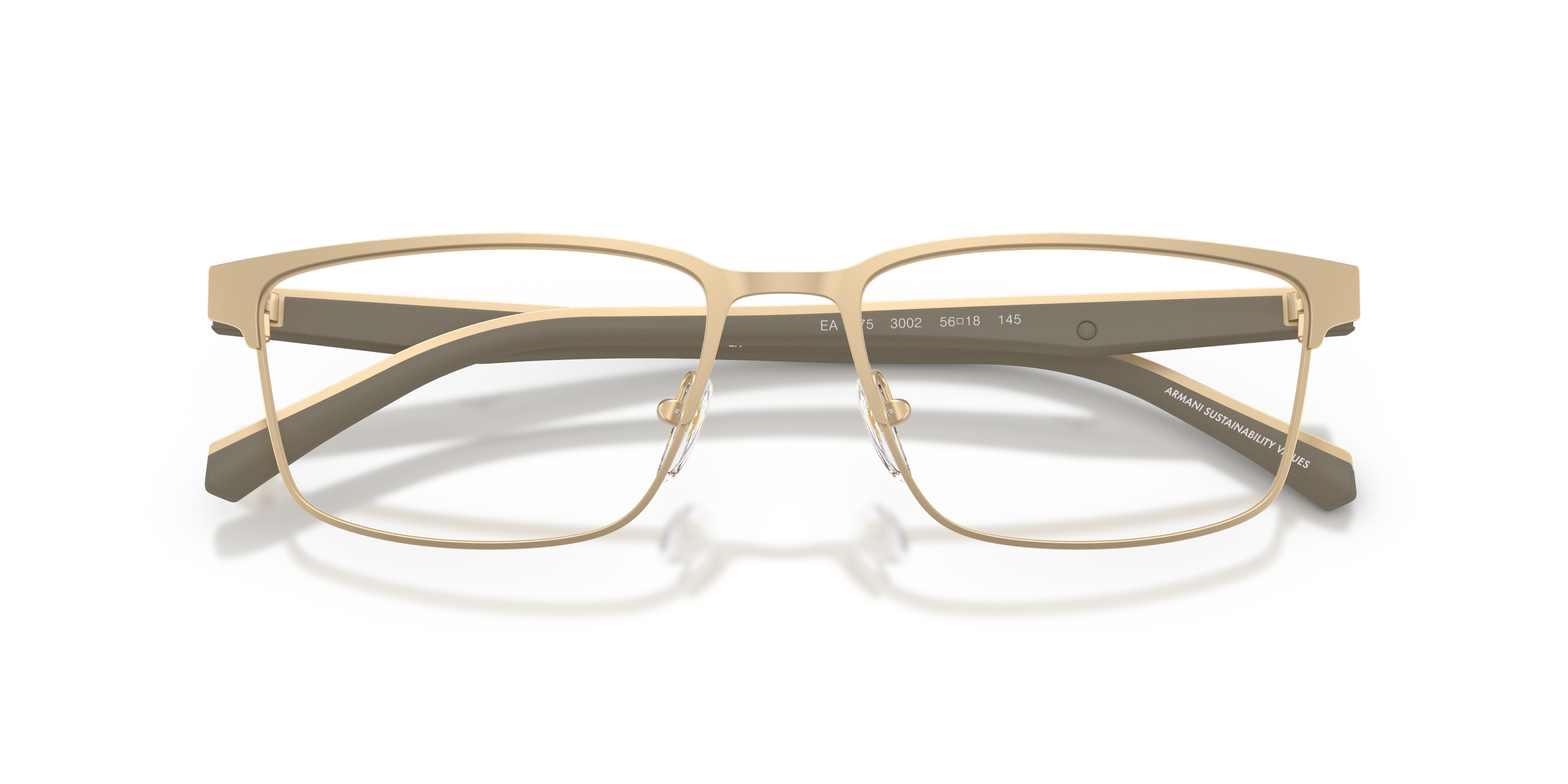 EMPORIO ARMANI EA1175 3002 54
