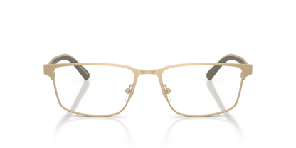 EMPORIO ARMANI EA1175 3002 56