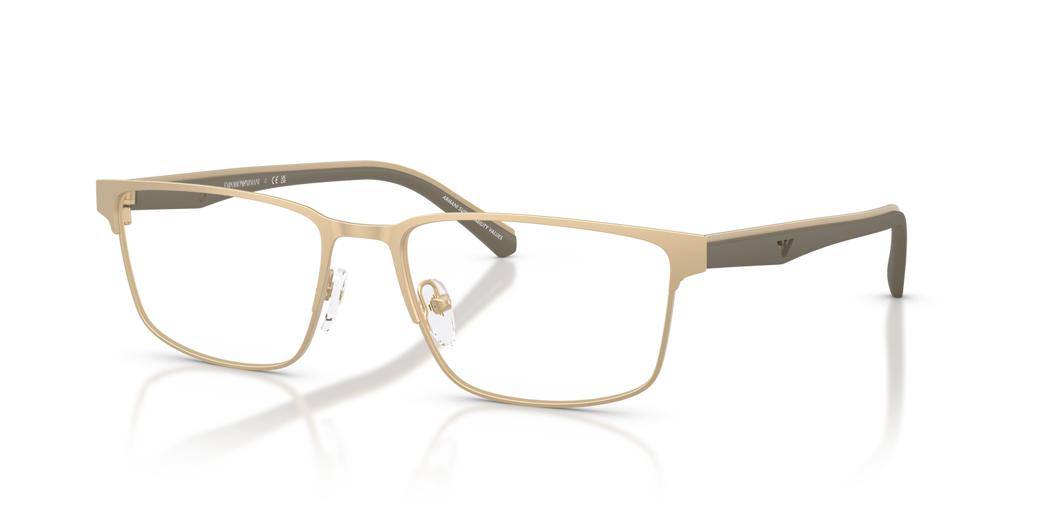 EMPORIO ARMANI EA1175 3002 54