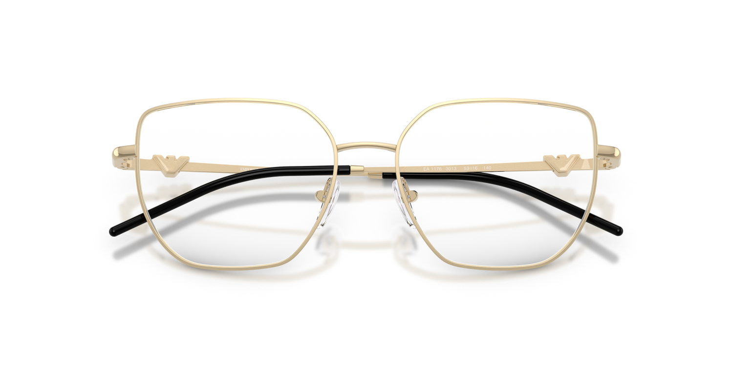 EMPORIO ARMANI EA1176 3013 51