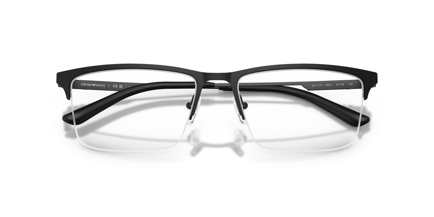 EMPORIO ARMANI EA1177 3001 55