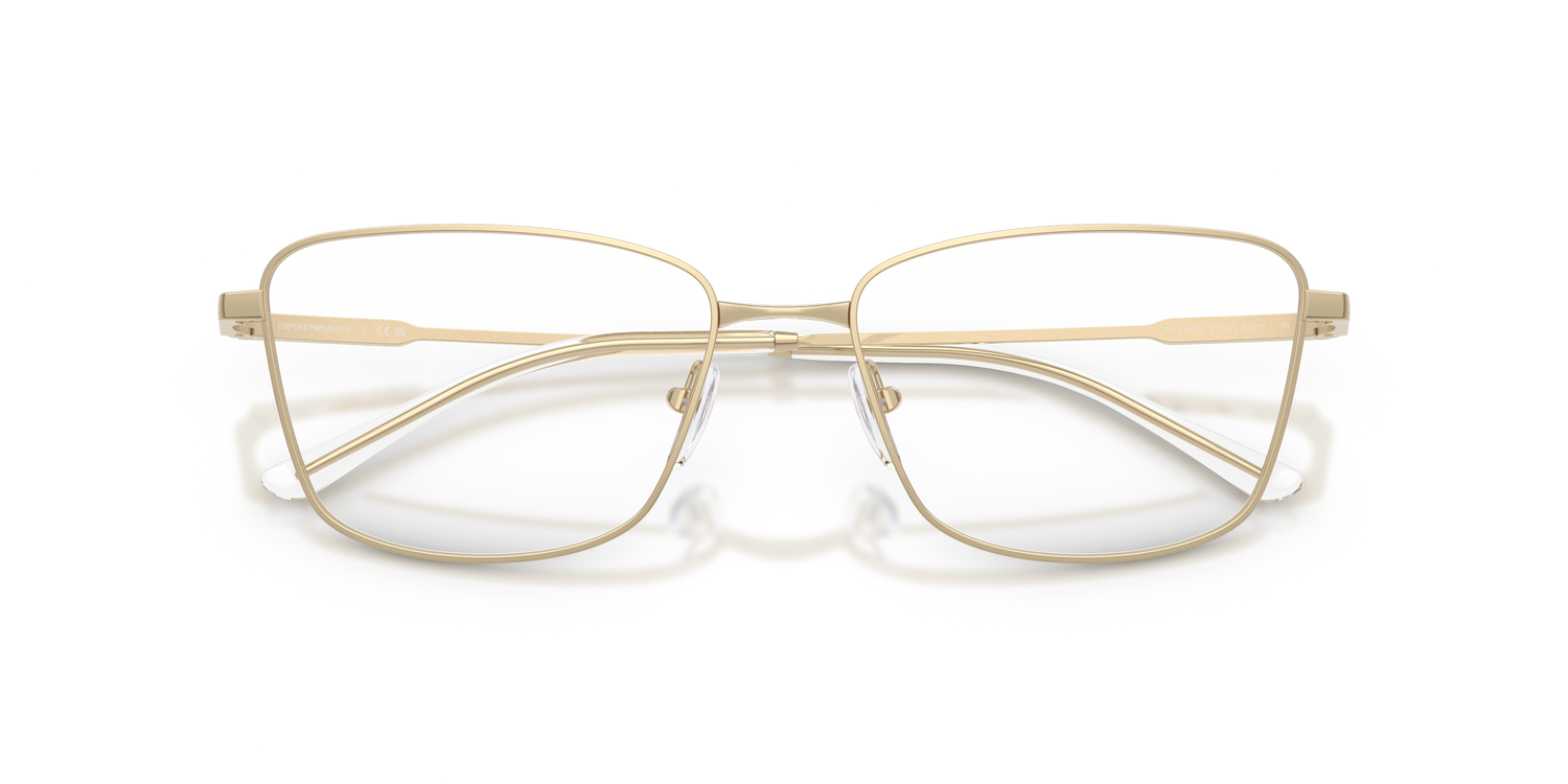 EMPORIO ARMANI EA1185B 3013 56