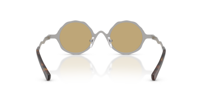 EMPORIO ARMANI EA2166 3015/2 41