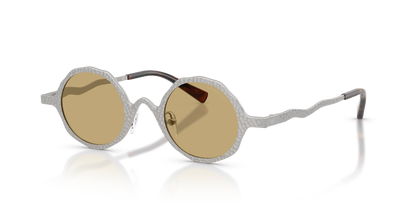 EMPORIO ARMANI EA2166 3015/2 41