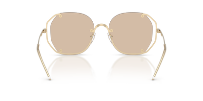 EMPORIO ARMANI EA2168 301393 54