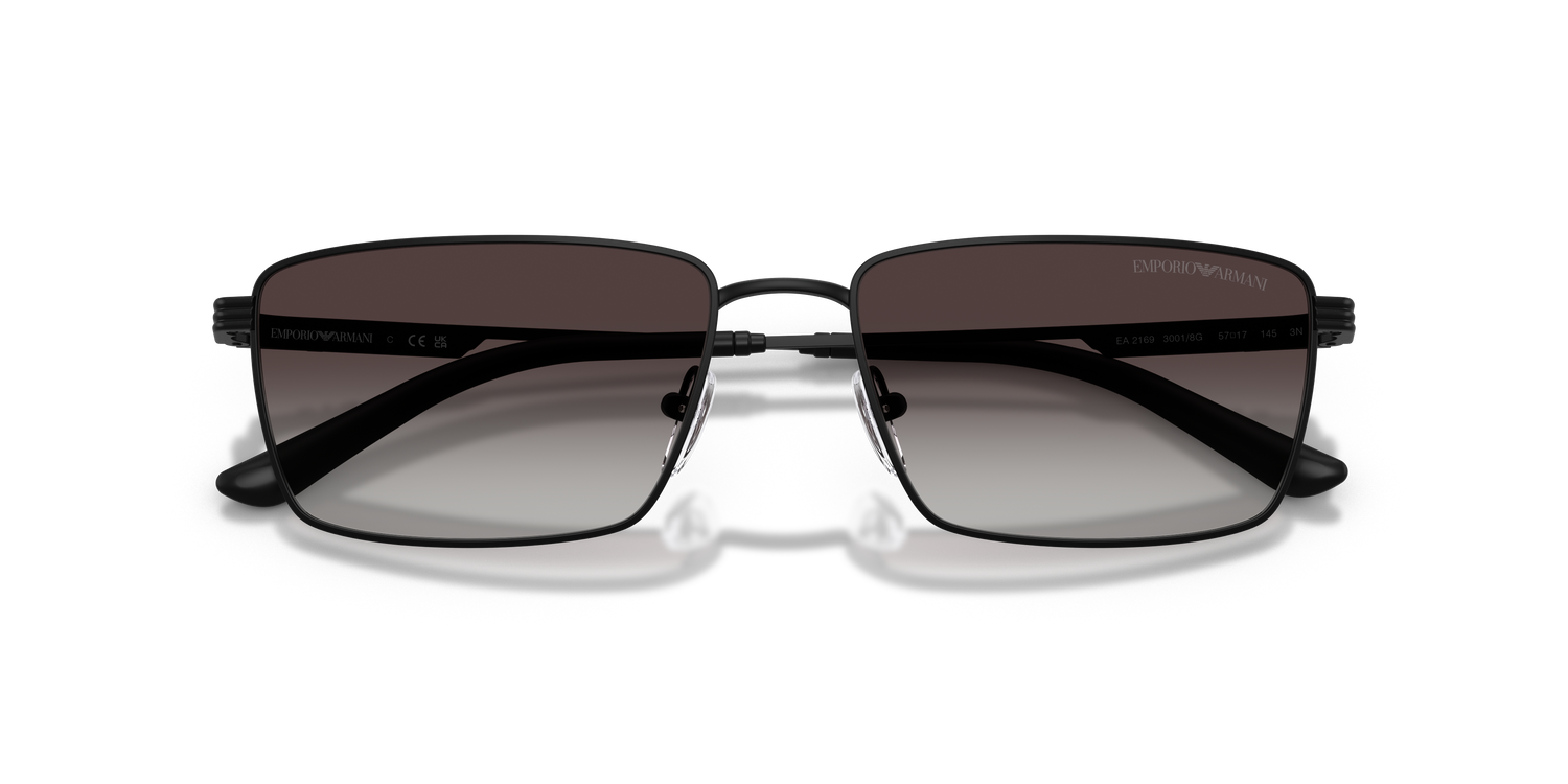 EMPORIO ARMANI EA2169 30018G 57