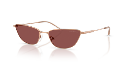 EMPORIO ARMANI EA2174B 301175 55