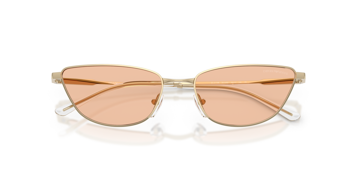 EMPORIO ARMANI EA2174B 301393 55