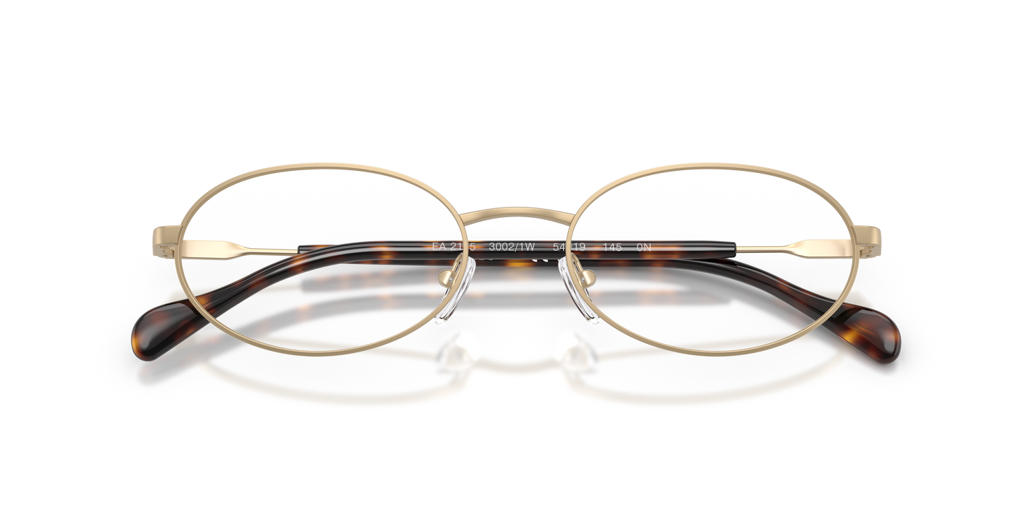 EMPORIO ARMANI EA2175 30021W 54
