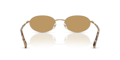 EMPORIO ARMANI EA2175 300273 54