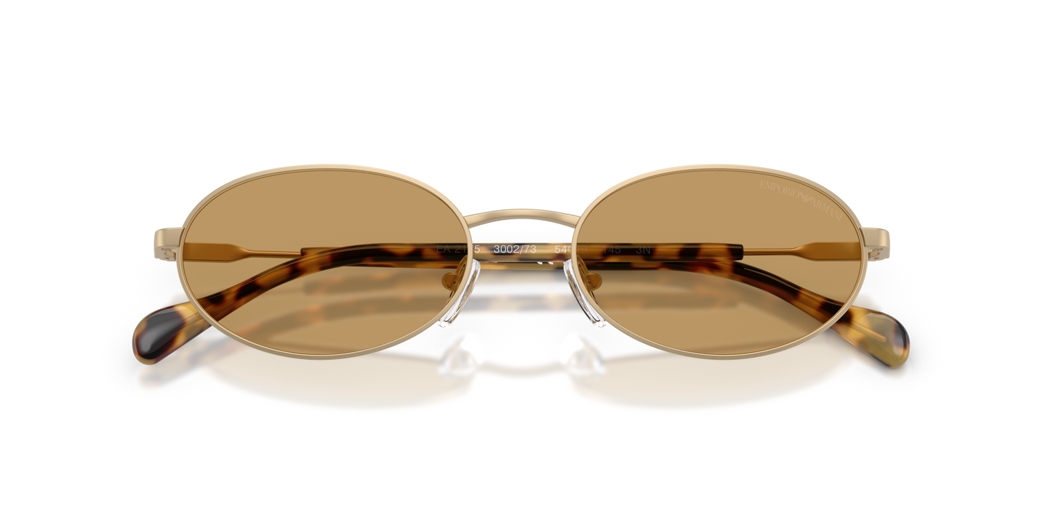 EMPORIO ARMANI EA2175 300273 54
