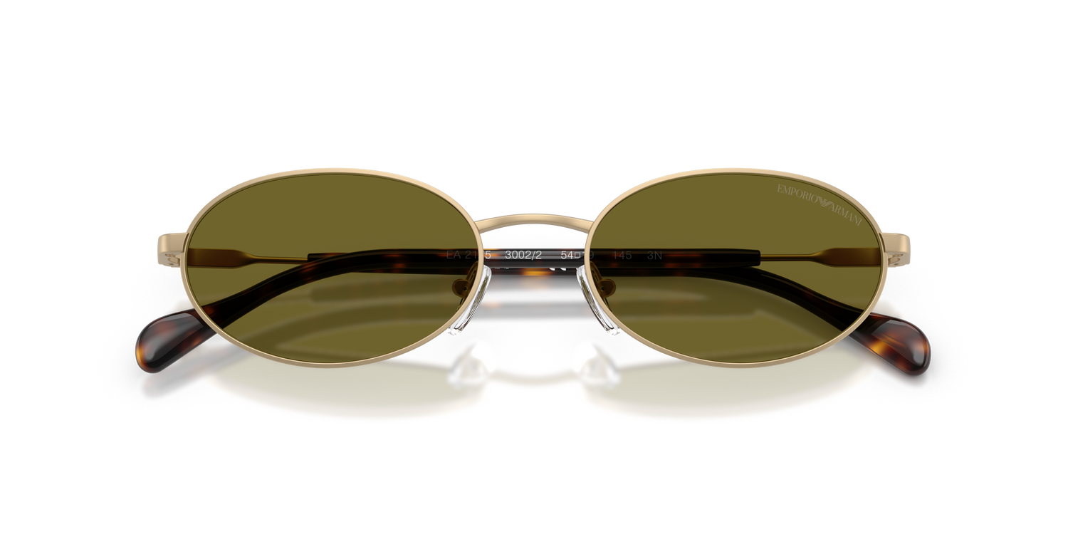 EMPORIO ARMANI EA2175 3002/2 54