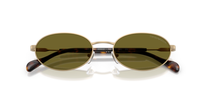 EMPORIO ARMANI EA2175 3002/2 54