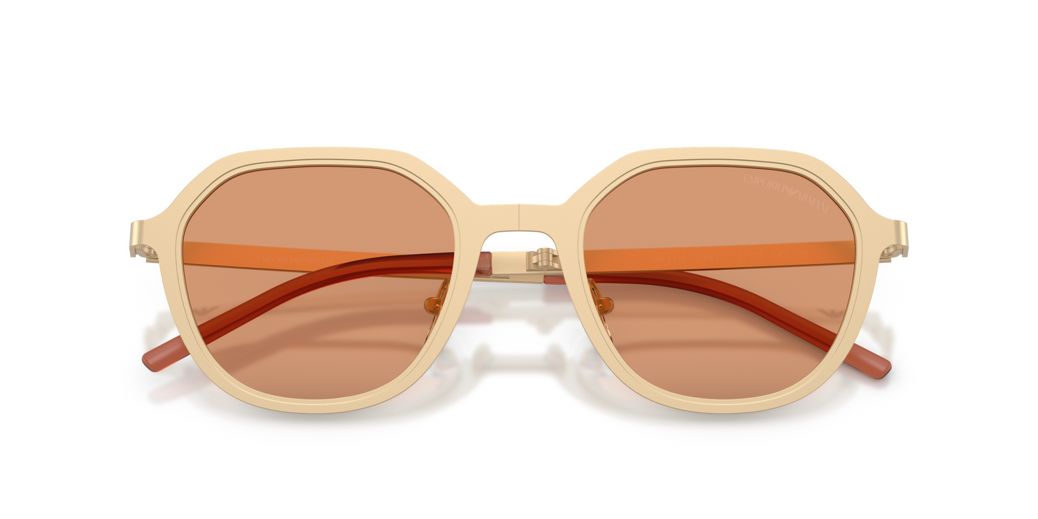 EMPORIO ARMANI EA2176 3002/7 51