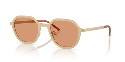 EMPORIO ARMANI EA2176 3002/7 51
