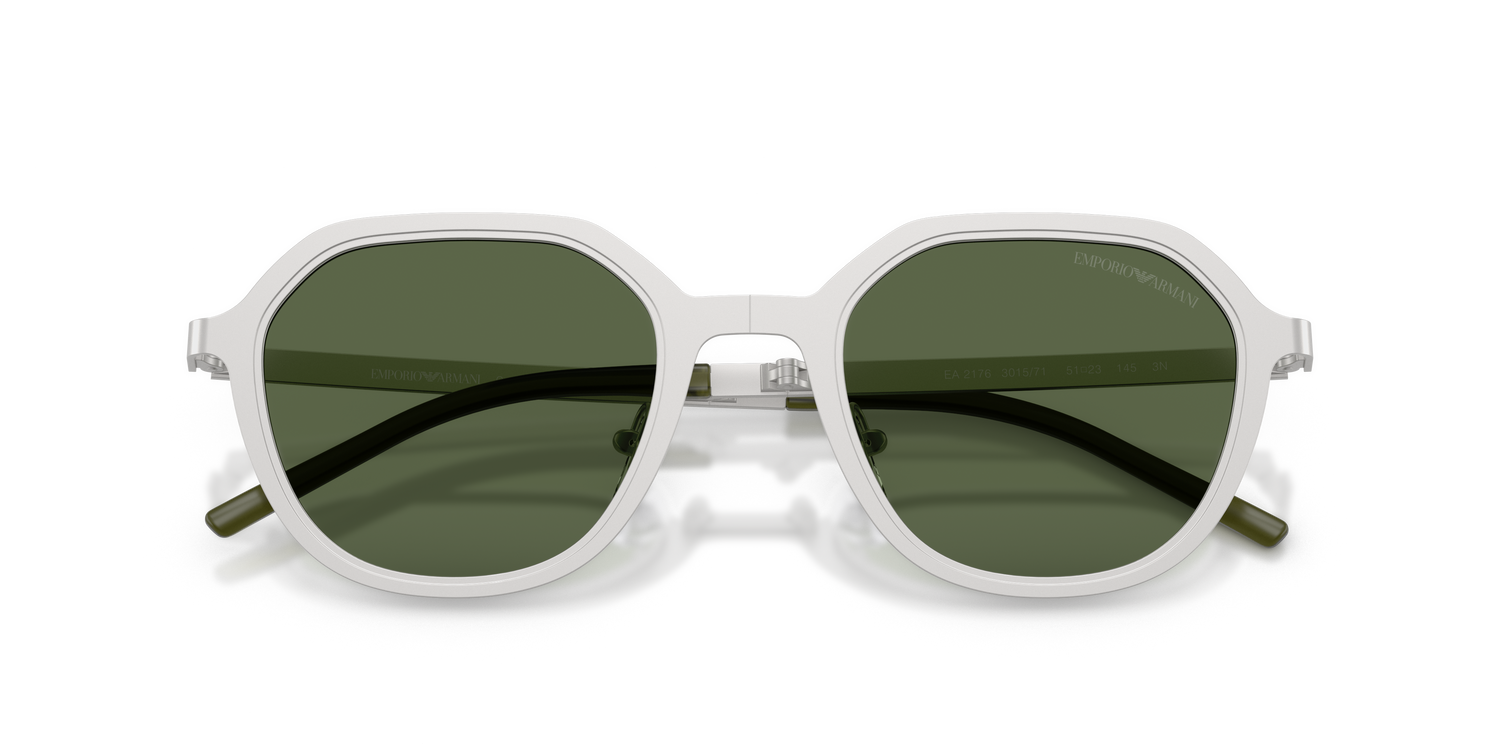 EMPORIO ARMANI EA2176 301571 51