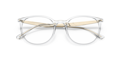 EMPORIO ARMANI EA3168 5371 52