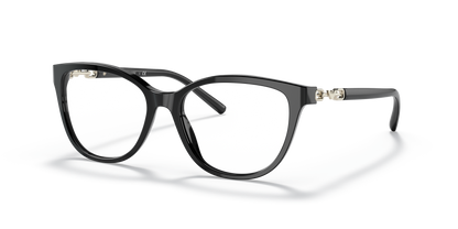 EMPORIO ARMANI EA3190 5001 53