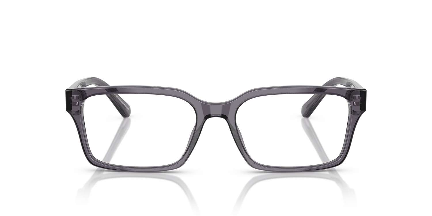 EMPORIO ARMANI EA3244 6106 55