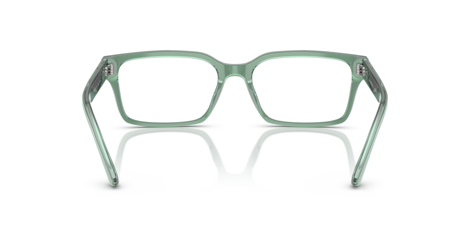 EMPORIO ARMANI EA3244 6176 55