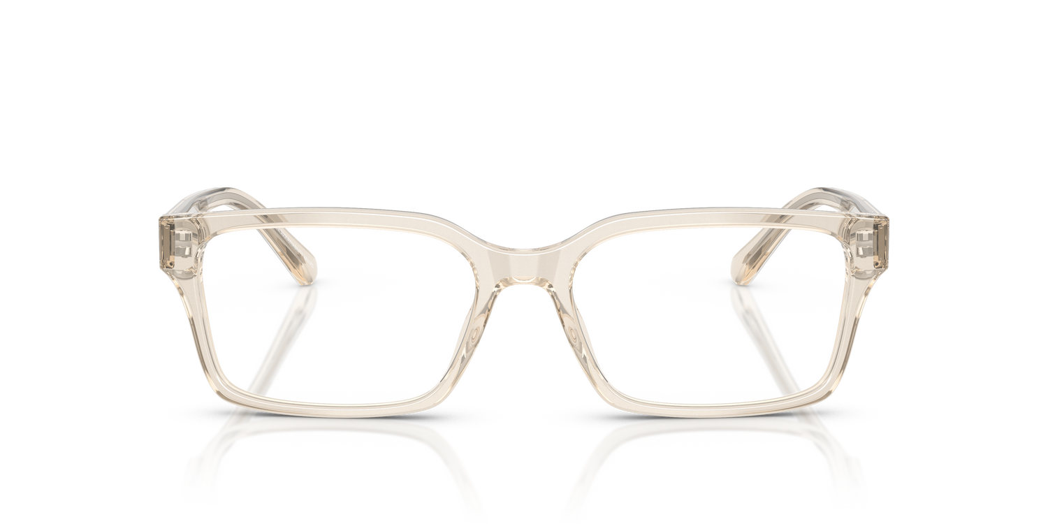 EMPORIO ARMANI EA3244 6179 55