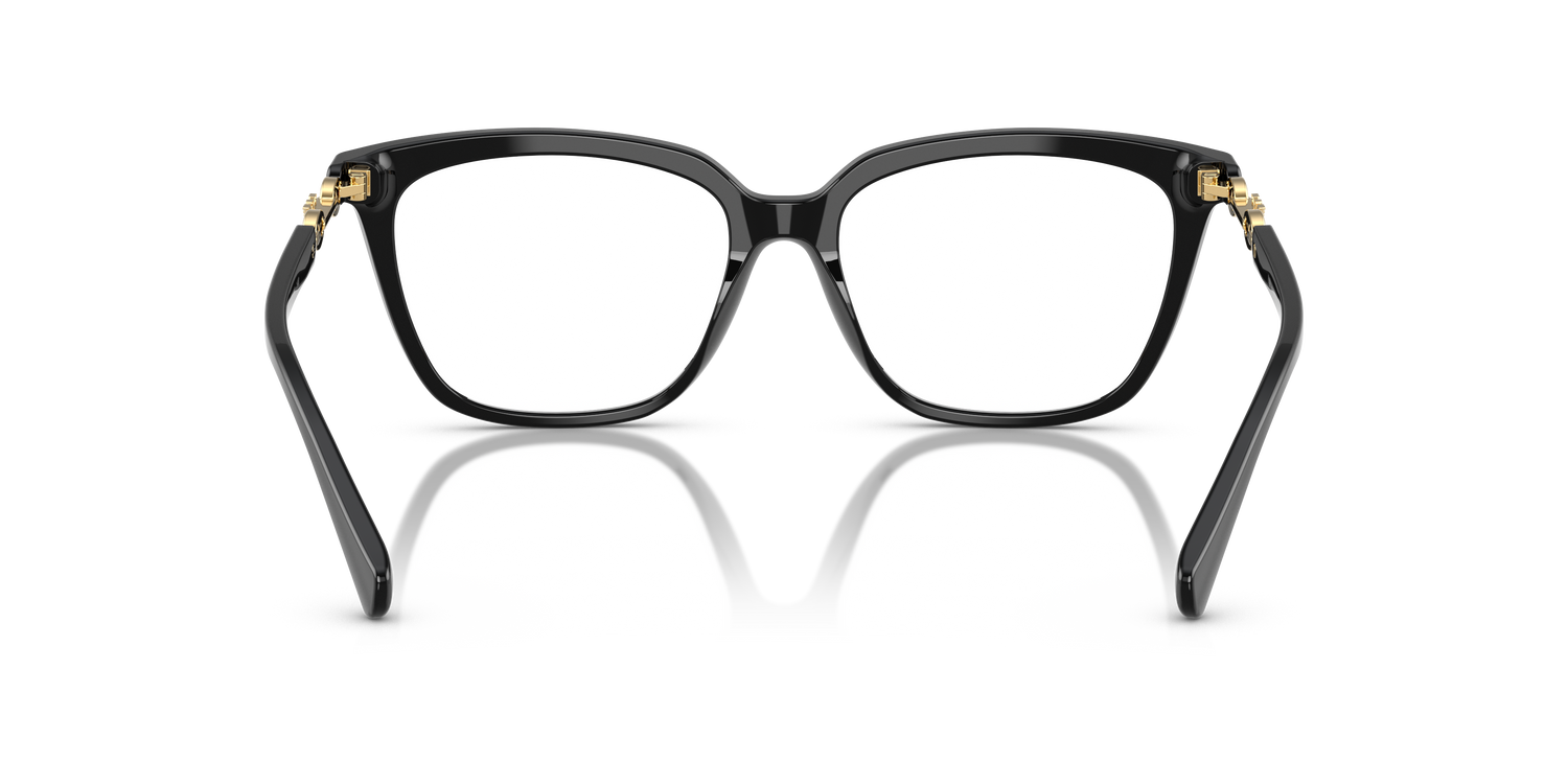 EMPORIO ARMANI EA3248 5017 53