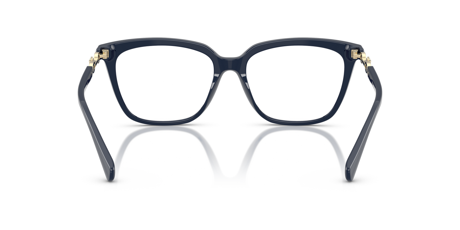 EMPORIO ARMANI EA3248 6039 55