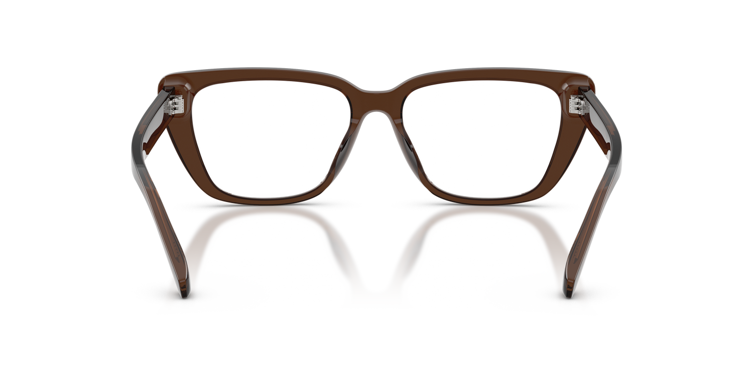 EMPORIO ARMANI EA3256U 6251 52