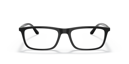 EMPORIO ARMANI EA4160 50421W 55