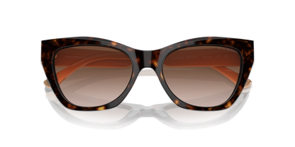 EMPORIO ARMANI EA4176 587913 54