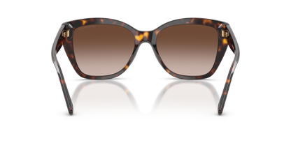 EMPORIO ARMANI EA4198 502613 55