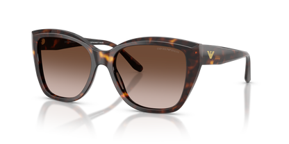 EMPORIO ARMANI EA4198 502613 55