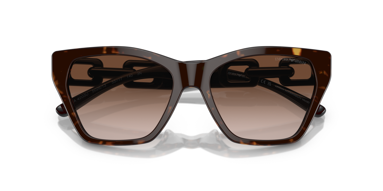 EMPORIO ARMANI EA4203U 502613 55