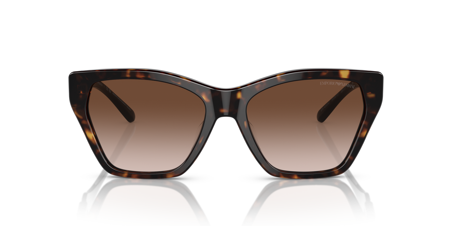 EMPORIO ARMANI EA4203U 502613 55