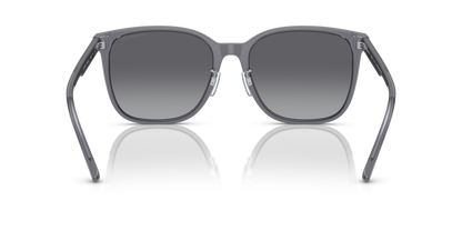 EMPORIO ARMANI EA4206D 5029T3 57