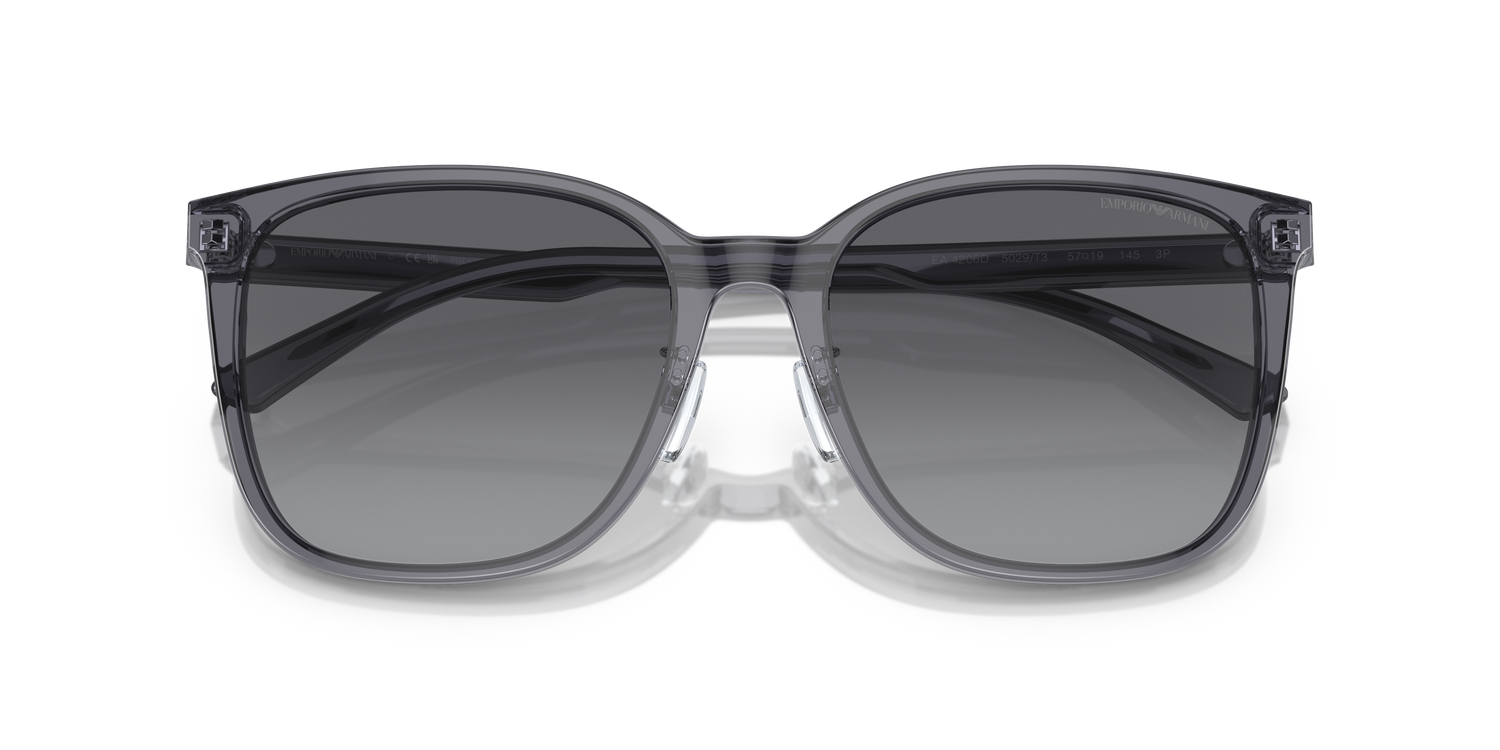 EMPORIO ARMANI EA4206D 5029T3 57