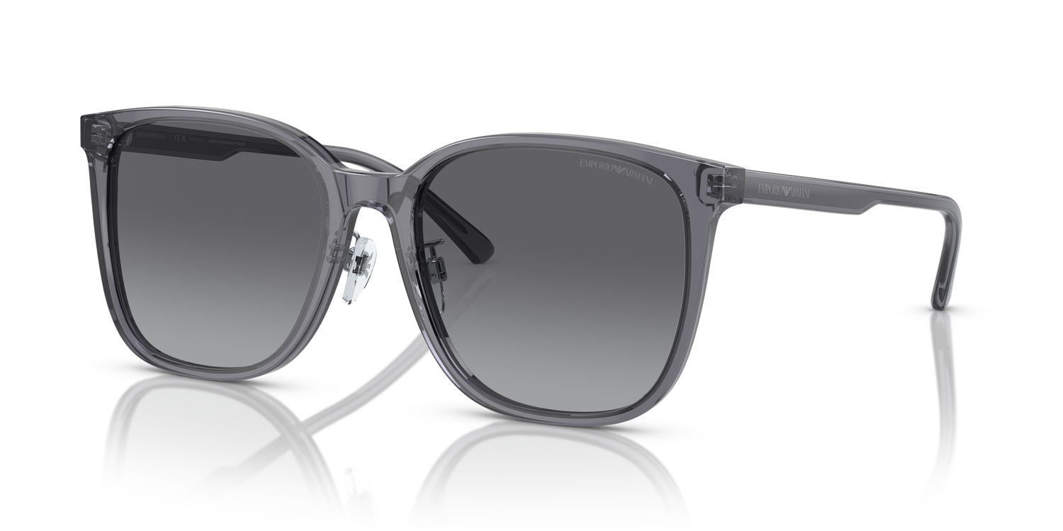 EMPORIO ARMANI EA4206D 5029T3 57