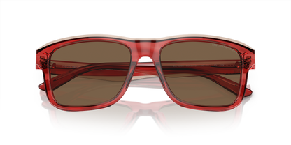 EMPORIO ARMANI EA4208 605373 56