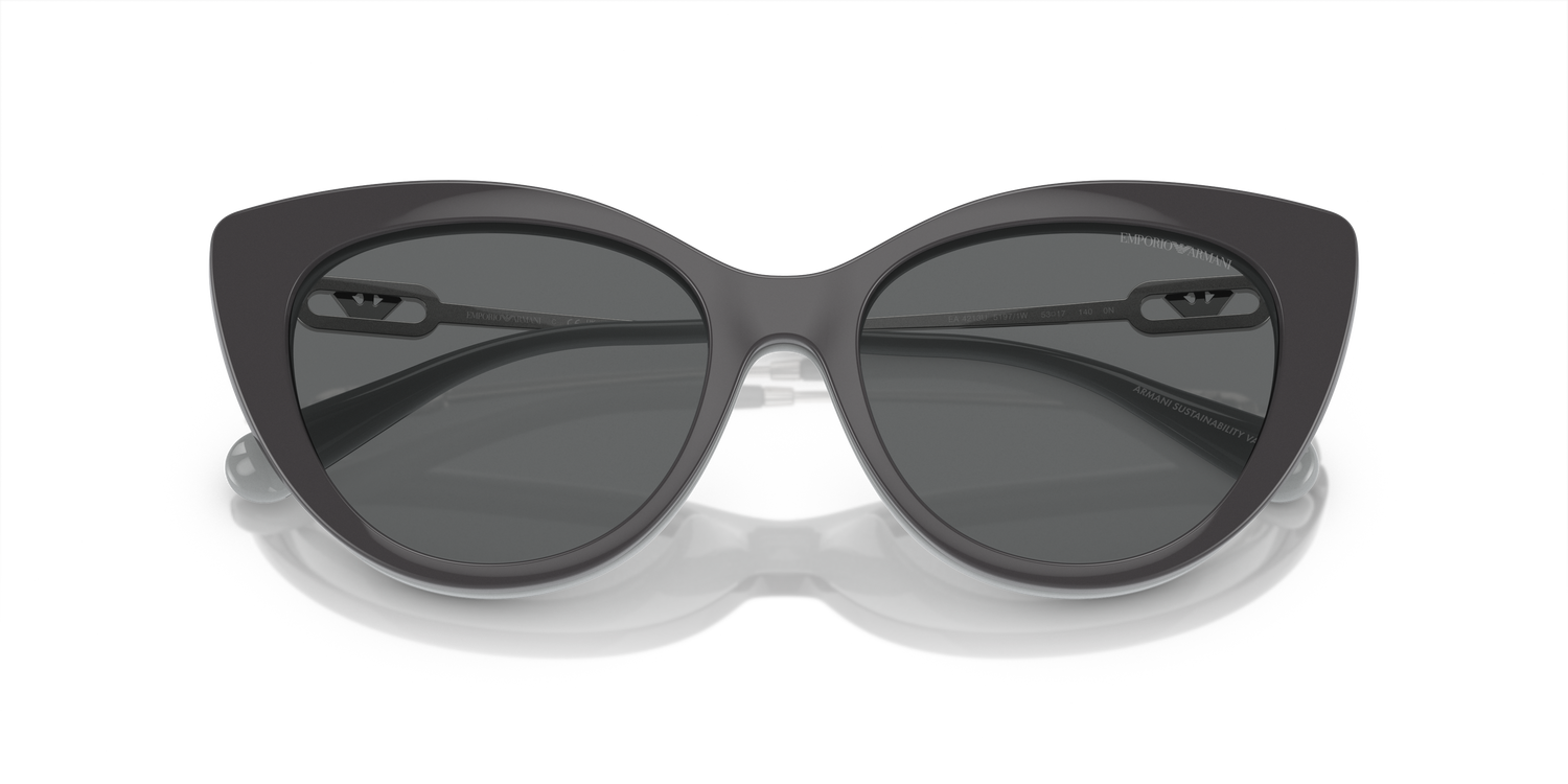 EMPORIO ARMANI EA4213U 51971W 53