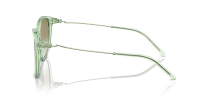 EMPORIO ARMANI EA4220 61078E 54