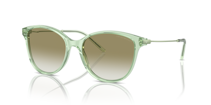 EMPORIO ARMANI EA4220 61078E 54