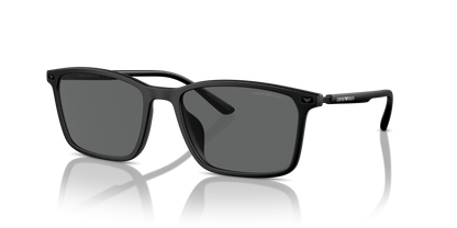 EMPORIO ARMANI EA4223U 500187 56